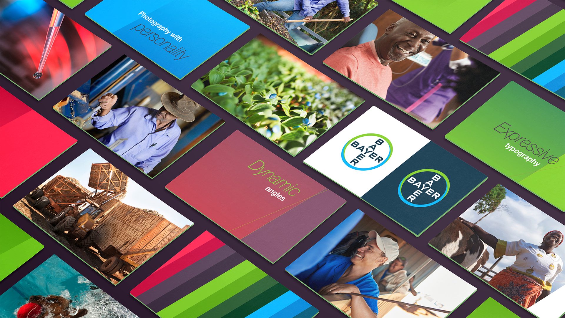 Bayer identity overview: photography with personality, dynamic angles, expressive typography