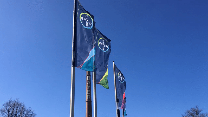 Animated Bayer flags waving against a blue sky